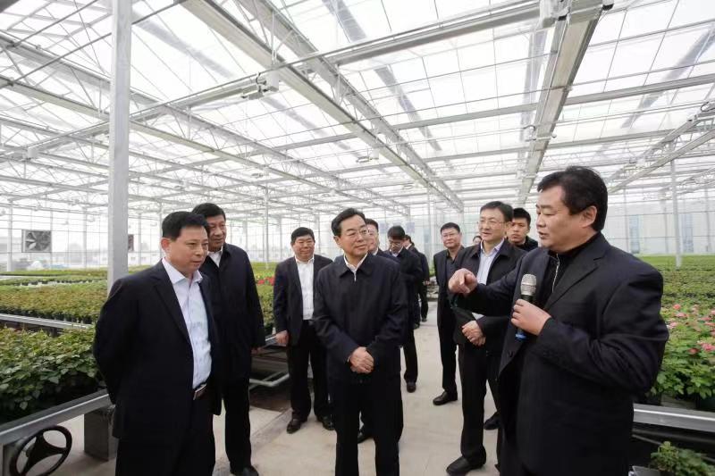 湖北省委副书记杨东奇到金年会（庆鄂）现代种植业产业园调研指导工作